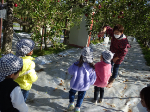 歌川果樹園のおばちゃん