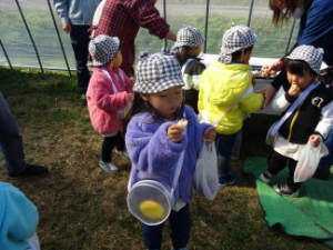 りんご試食